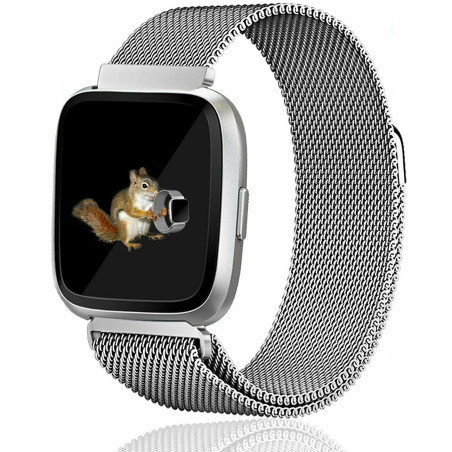 Bracelete Milanese Loop Fecho Magnético para Fitbit Versa / Versa Lite / Versa 2 - Cinza